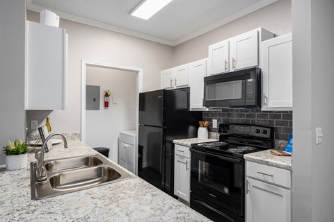 Model Kitchen at Chace Lake